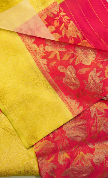 Scallop Border Saree with Applique Work